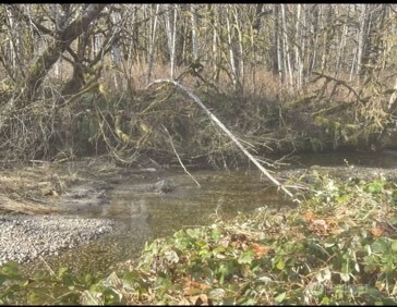 0 Sauk Road , Rockport, WA 98237