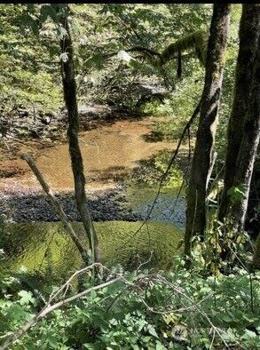 0 Sauk Road , Rockport, WA 98237 - Photo 5