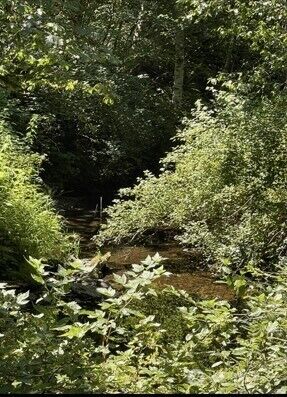 0 Sauk Road , Rockport, WA 98237 - Photo 6