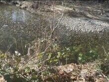 0 Sauk Road , Rockport, WA 98237 - Photo 8