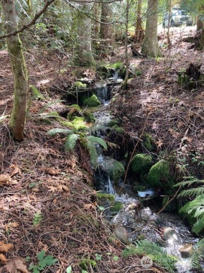 110 N Dow Mountain Drive , Hoodsport, WA 98548 - Photo 2