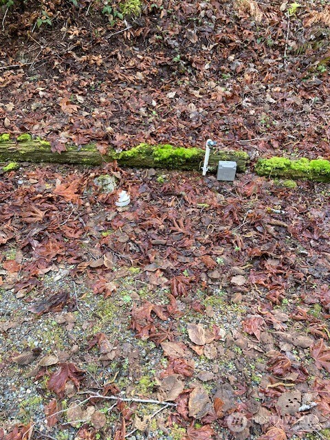 110 N Dow Mountain Drive , Hoodsport, WA 98548