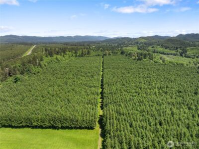 151 Klahn Road , Forks, WA 98331 - Photo 7