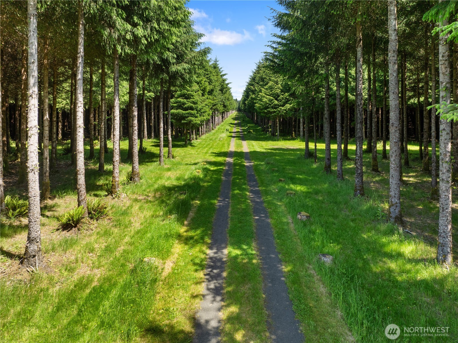 151 Klahn Road , Forks, WA 98331