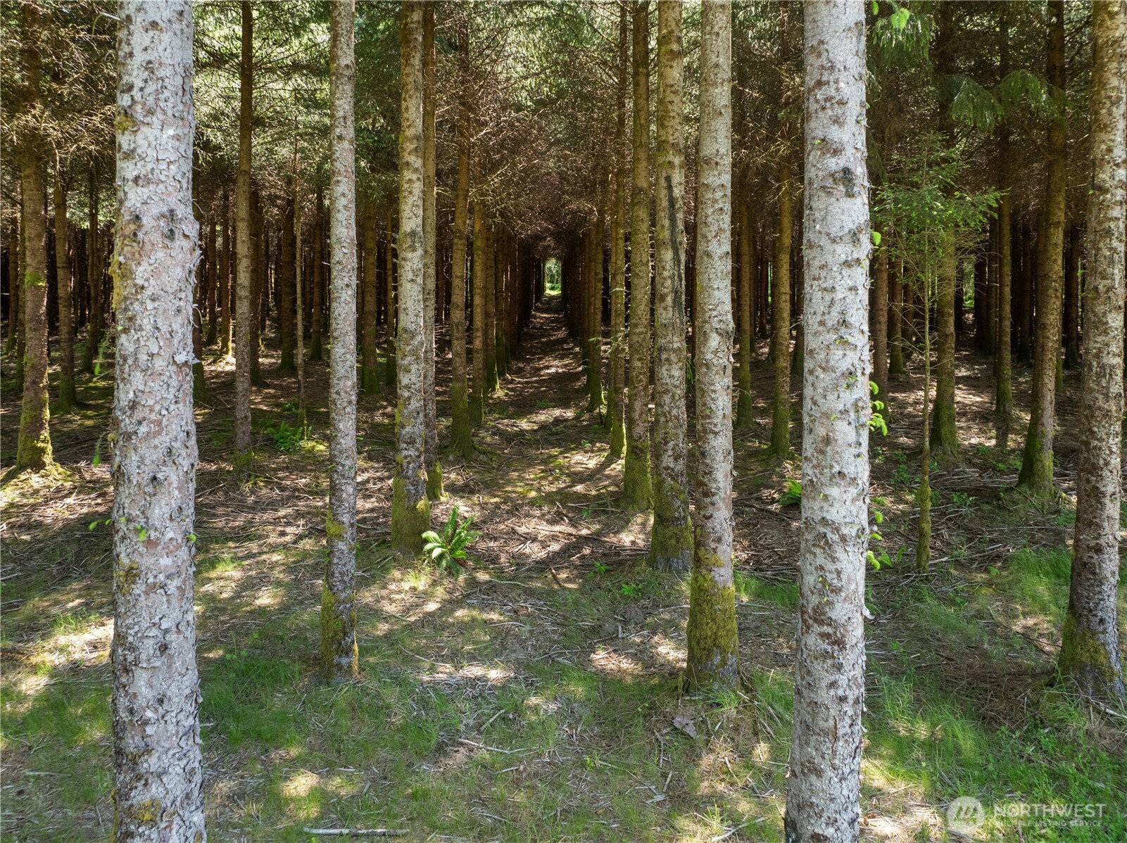 151 Klahn Road , Forks, WA 98331