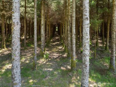 151 Klahn Road , Forks, WA 98331 - Photo 9