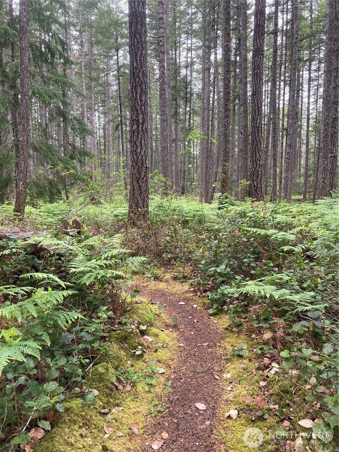 40 N Snapper Drive , Hoodsport, WA 98548