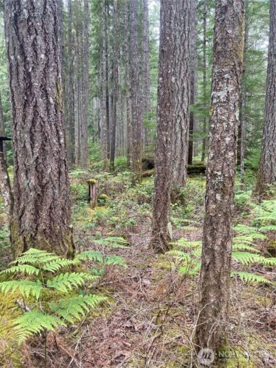 40 N Snapper Drive , Hoodsport, WA 98548 - Photo 11