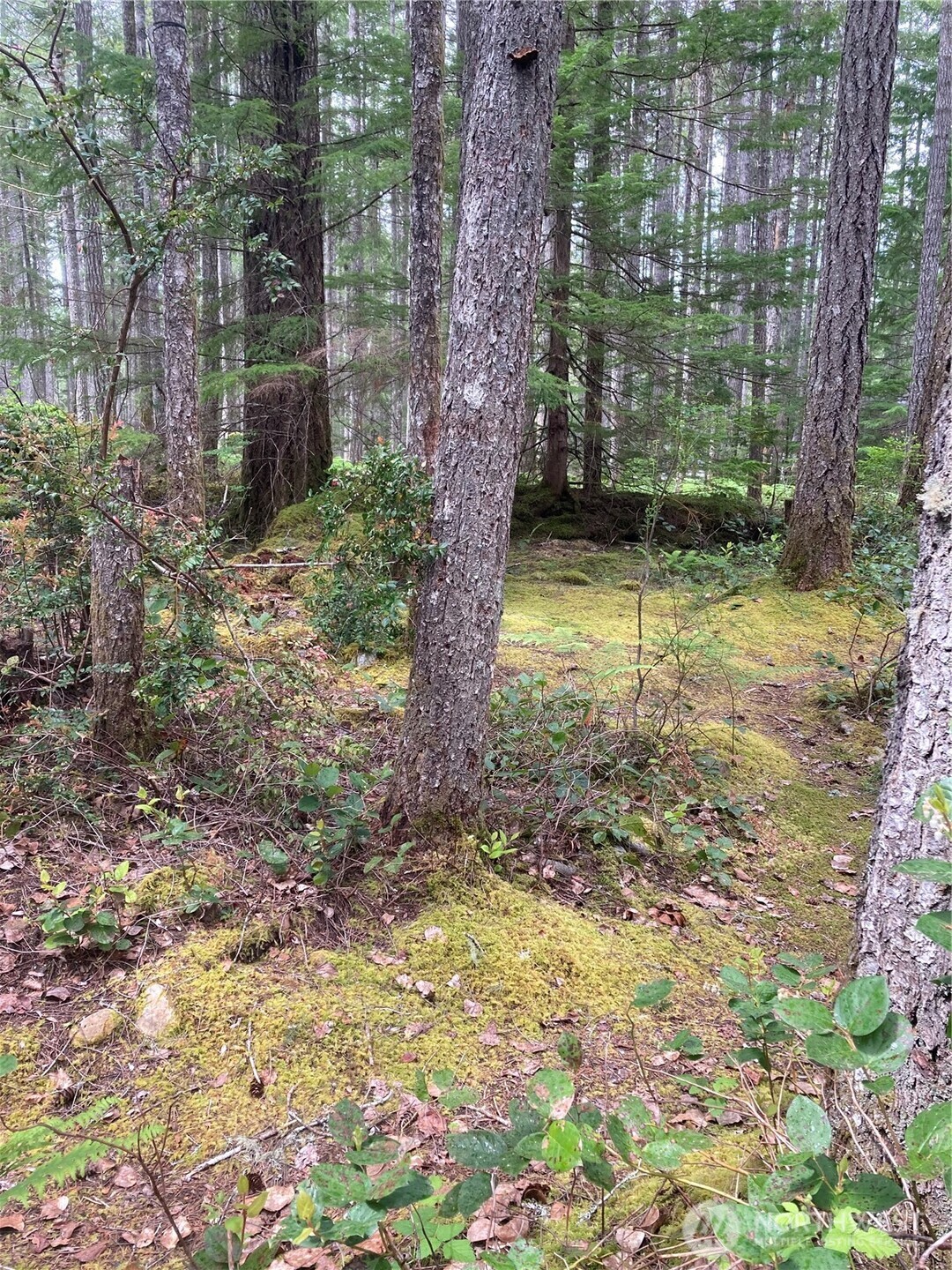 40 N Snapper Drive , Hoodsport, WA 98548