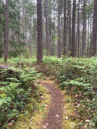 40 N Snapper Drive , Hoodsport, WA 98548 - Photo 2