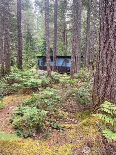 40 N Snapper Drive , Hoodsport, WA 98548 - Photo 7