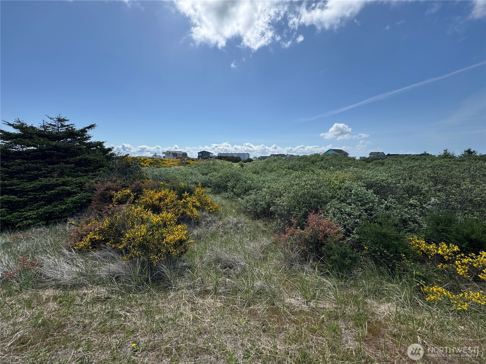 421 S Portal Loop SW, Ocean Shores, WA 98569