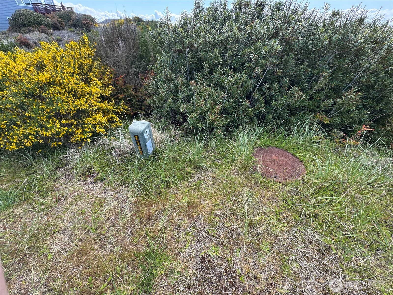 421 S Portal Loop SW, Ocean Shores, WA 98569