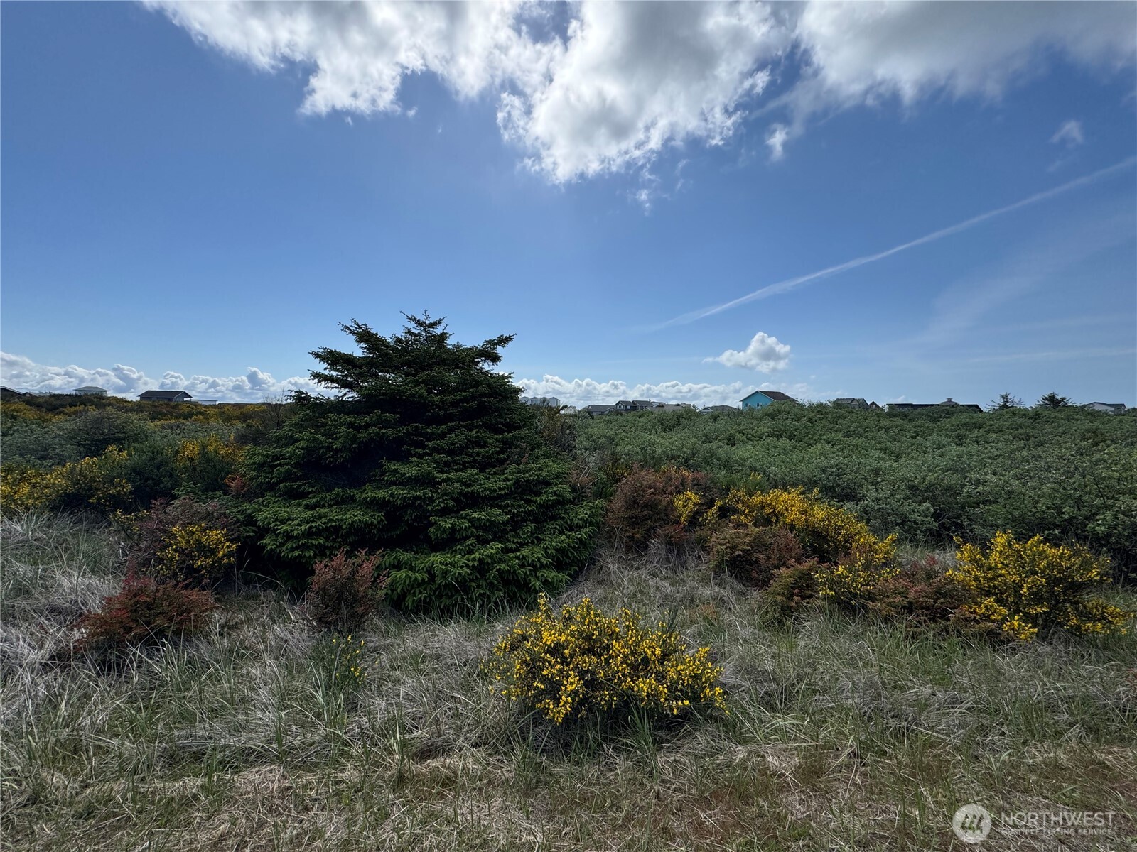 421 S Portal Loop SW, Ocean Shores, WA 98569