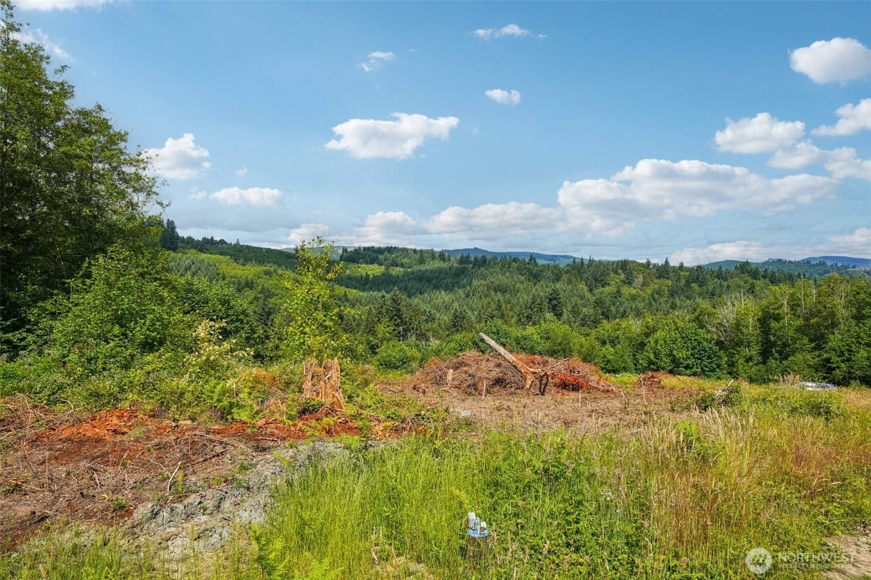 1830 Hazel Dell Road #Lot 2, Castle Rock, WA 98611