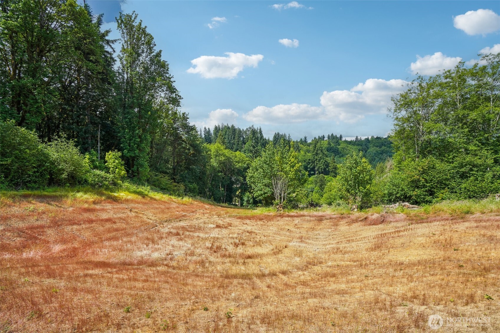 1830 Hazel Dell Road #Lot 2, Castle Rock, WA 98611