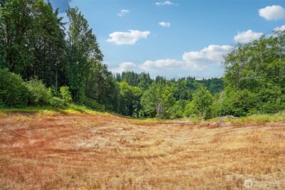 1830 Hazel Dell Road #Lot 2, Castle Rock, WA 98611 - Photo 30