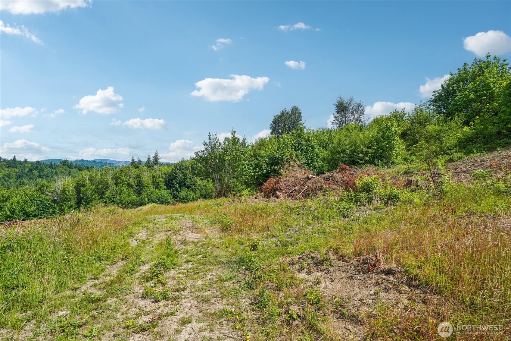1830 Hazel Dell Road #Lot 2, Castle Rock, WA 98611