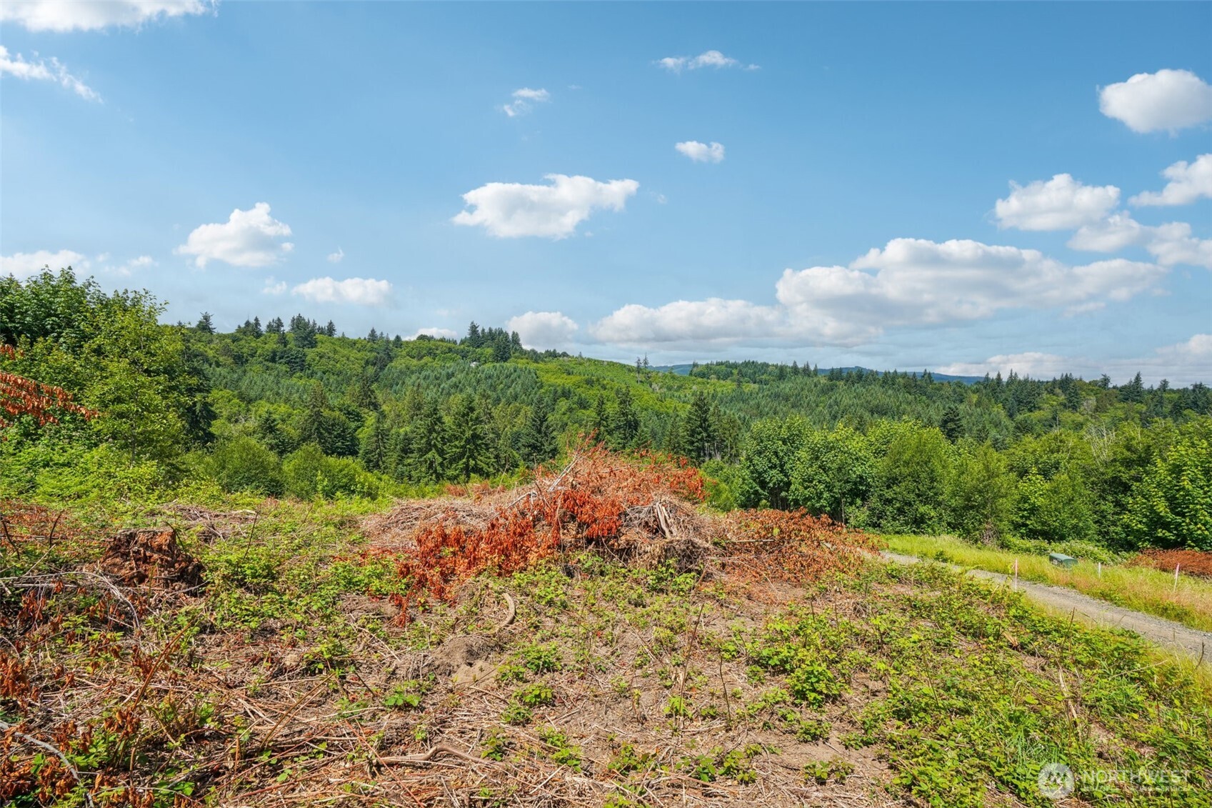 1830 Hazel Dell Road #Lot 2, Castle Rock, WA 98611