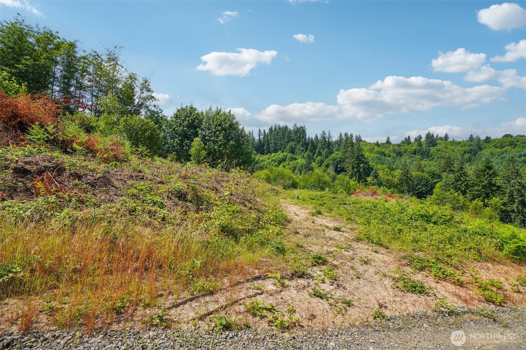 1830 Hazel Dell Road #Lot 2, Castle Rock, WA 98611