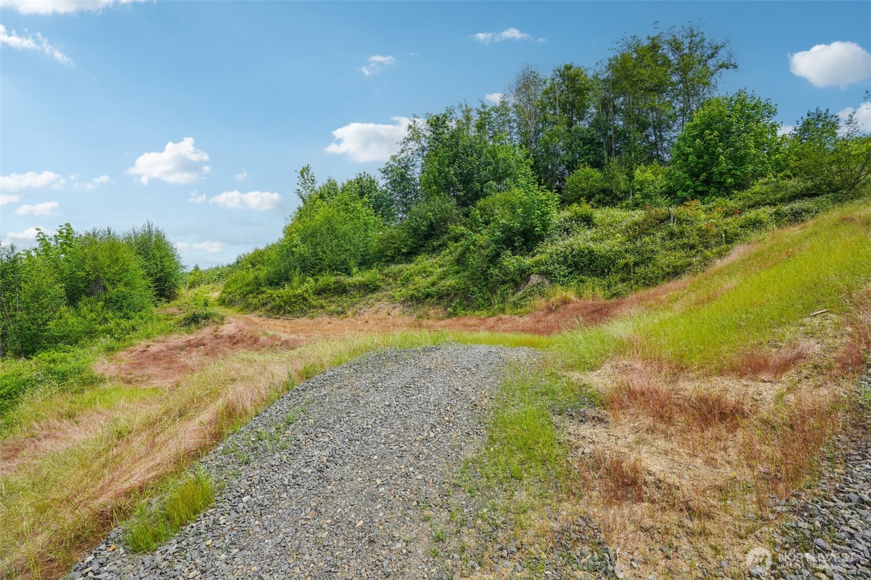 1830 Hazel Dell Road #Lot 2, Castle Rock, WA 98611
