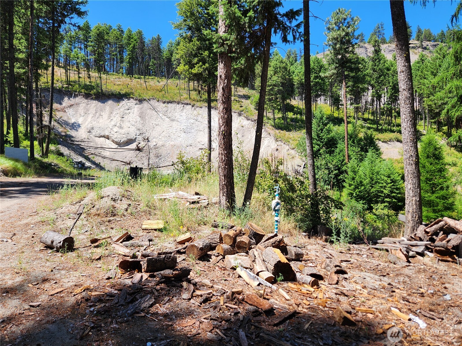 0 Lot 302 Klondike Road , Republic, WA 99166