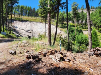 0 Lot 302 Klondike Road , Republic, WA 99166 - Photo 8