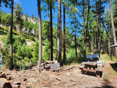 0 Lot 302 Klondike Road , Republic, WA 99166 - Photo 9