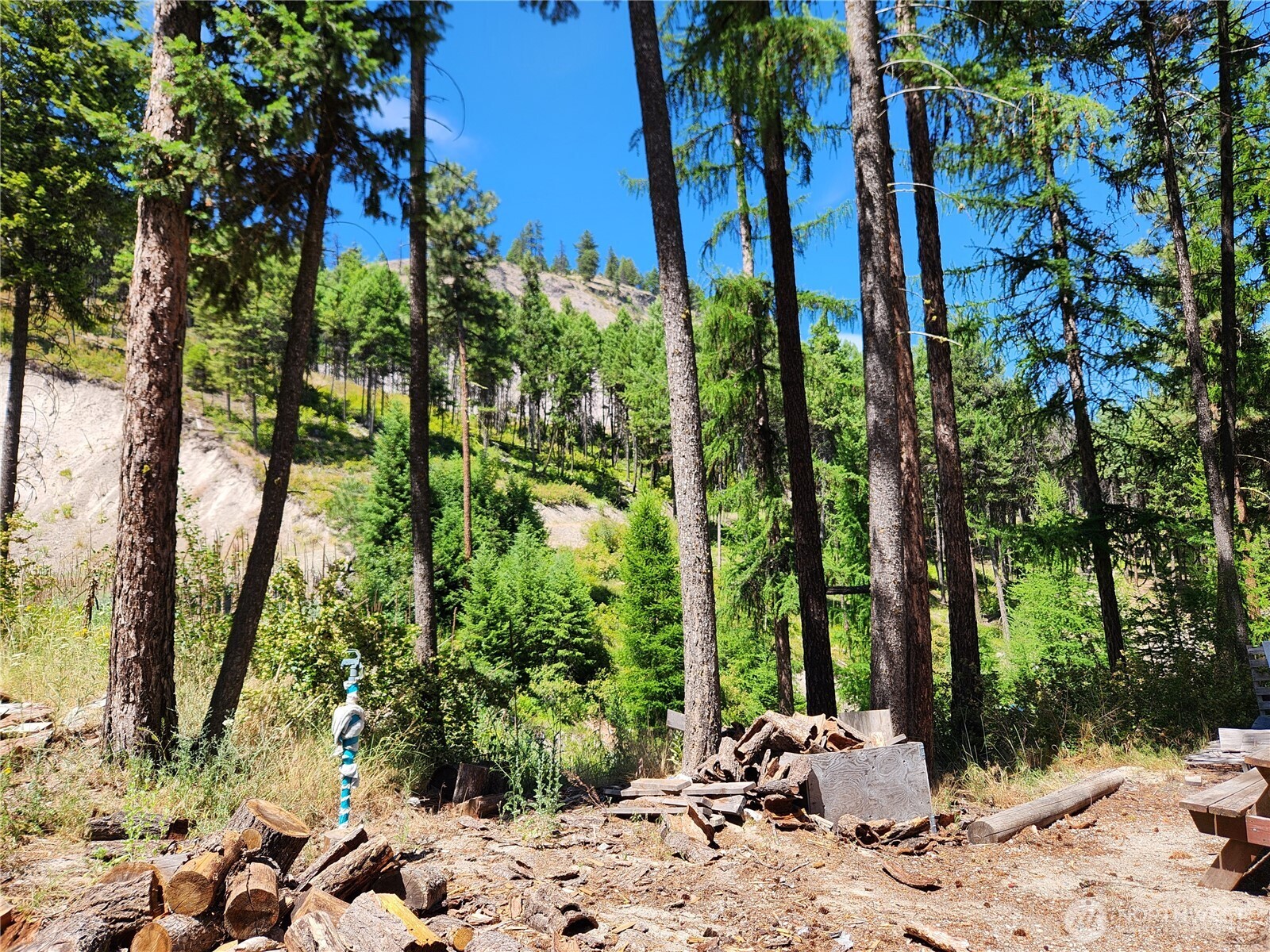 0 Lot 302 Klondike Road , Republic, WA 99166