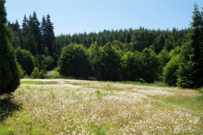 1048 Peters Road , Port Angeles, WA 98363 - Photo 16