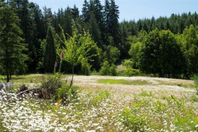 1048 Peters Road , Port Angeles, WA 98363 - Photo 19