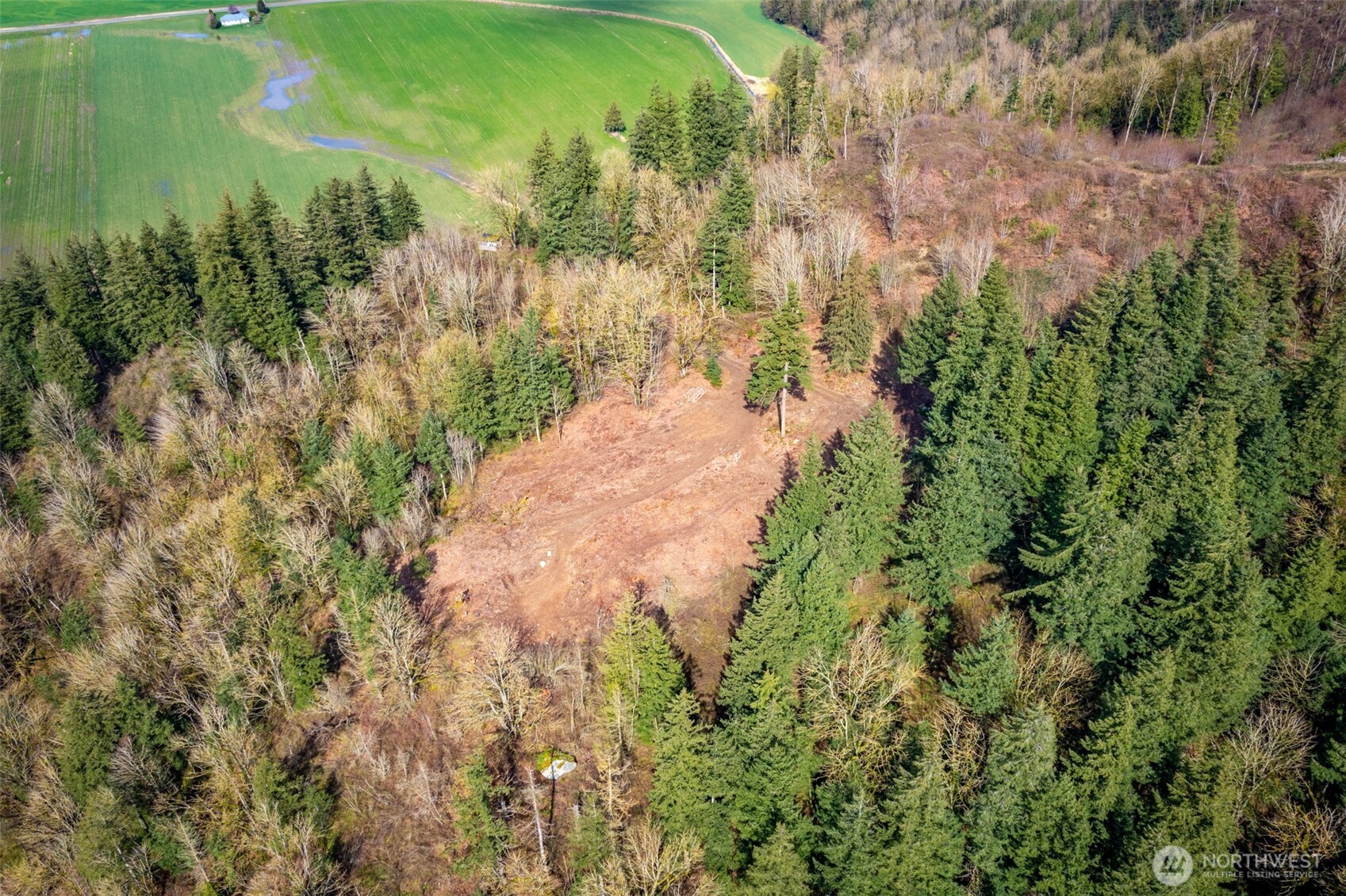 48 XX Reese Hill Road , Sumas, WA 98295