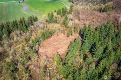 48 XX Reese Hill Road , Sumas, WA 98295 - Photo 11