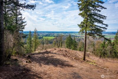 48 XX Reese Hill Road , Sumas, WA 98295 - Photo 12