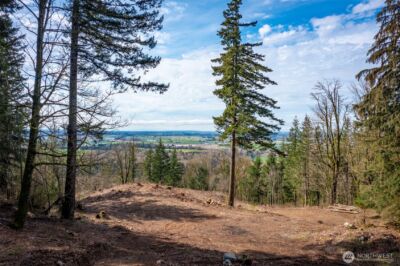 48 XX Reese Hill Road , Sumas, WA 98295 - Photo 13