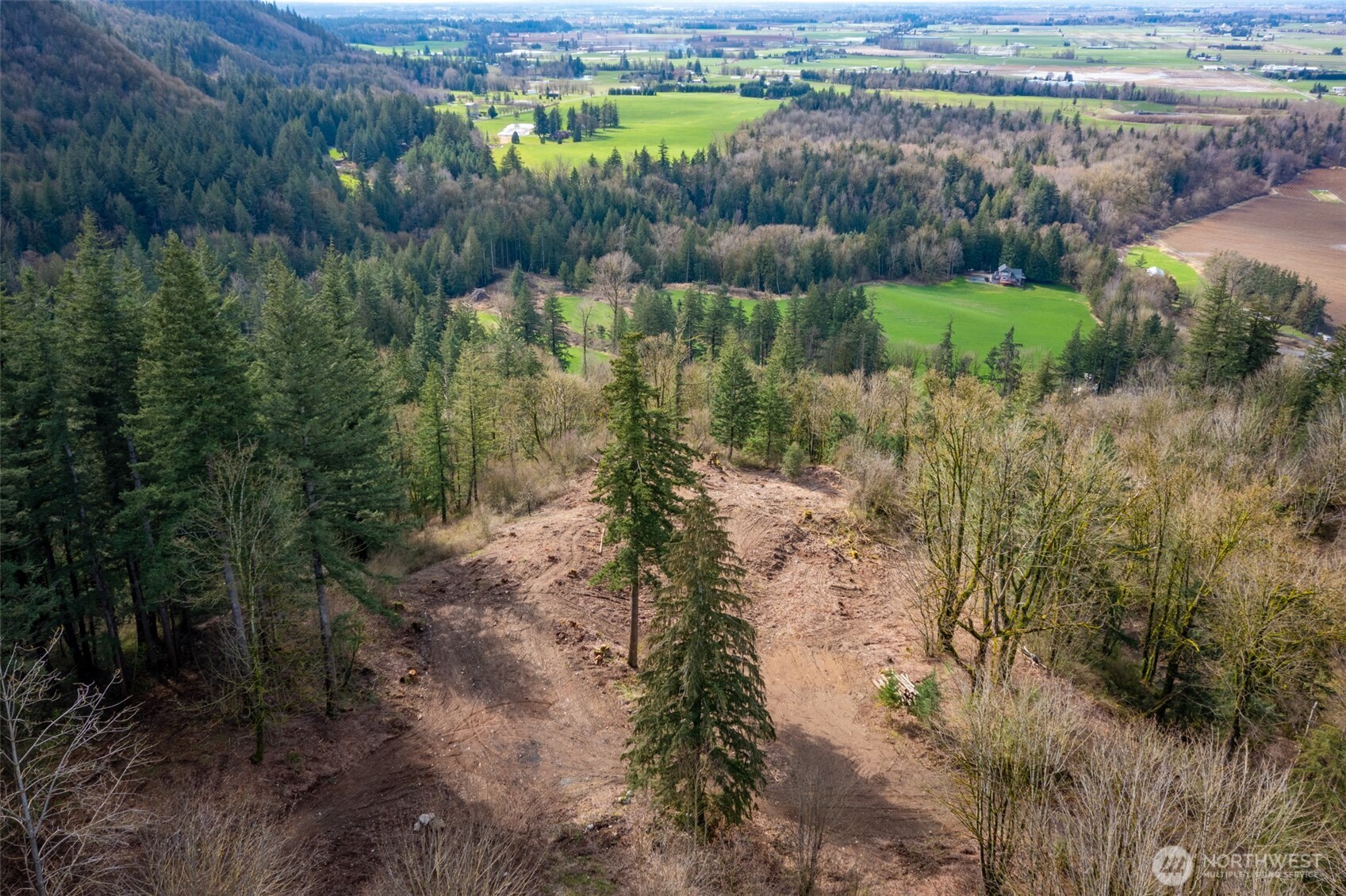 48 XX Reese Hill Road , Sumas, WA 98295
