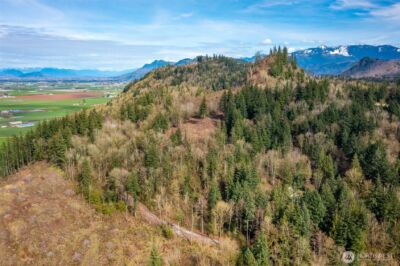 48 XX Reese Hill Road , Sumas, WA 98295 - Photo 16