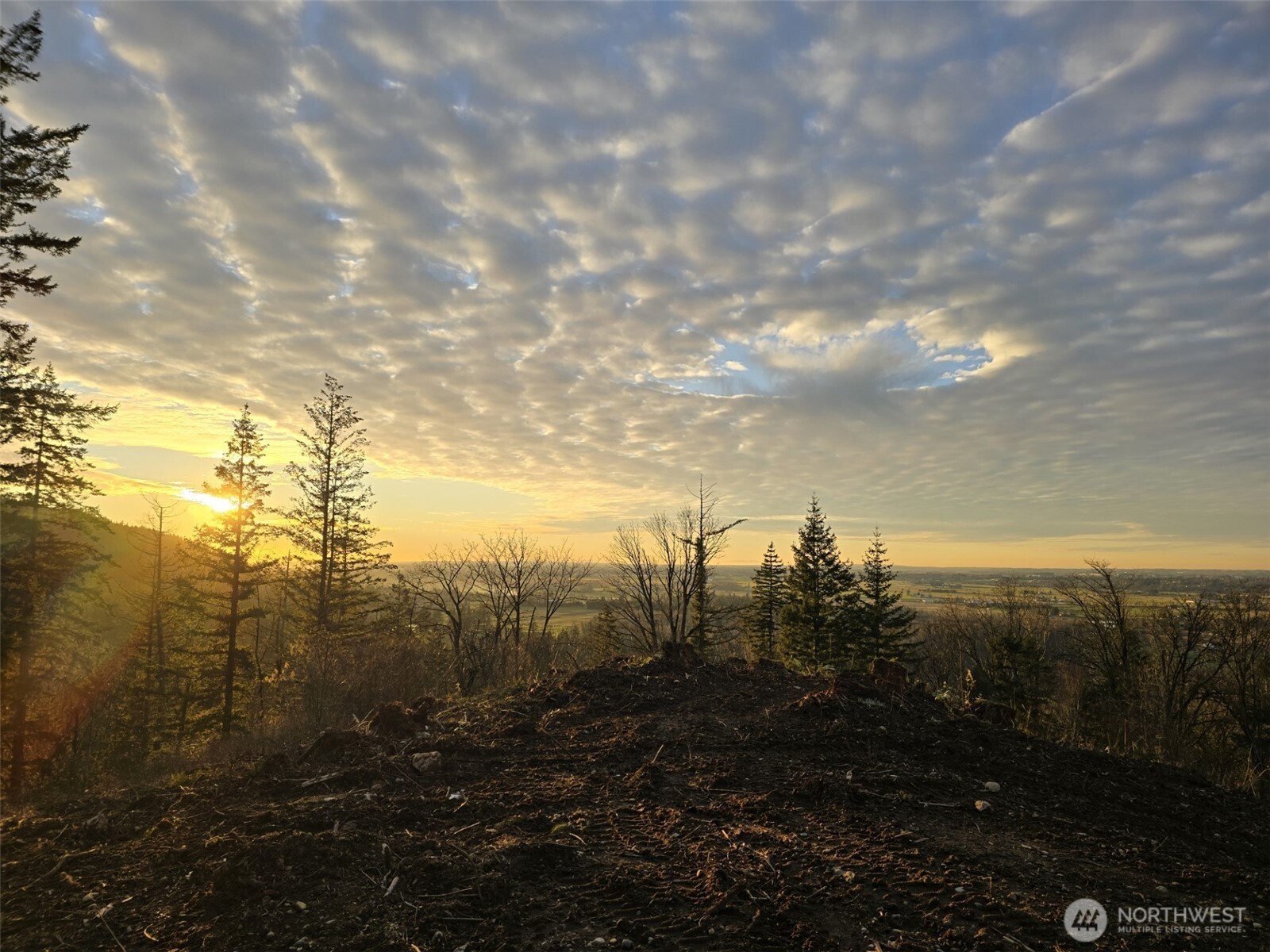 48 XX Reese Hill Road , Sumas, WA 98295