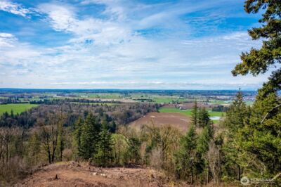 48 XX Reese Hill Road , Sumas, WA 98295 - Photo 3
