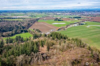 48 XX Reese Hill Road , Sumas, WA 98295 - Photo 5