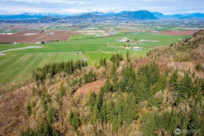 48 XX Reese Hill Road , Sumas, WA 98295 - Photo 6