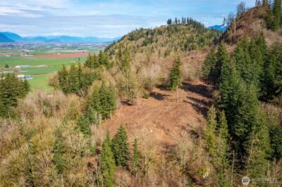 48 XX Reese Hill Road , Sumas, WA 98295 - Photo 8