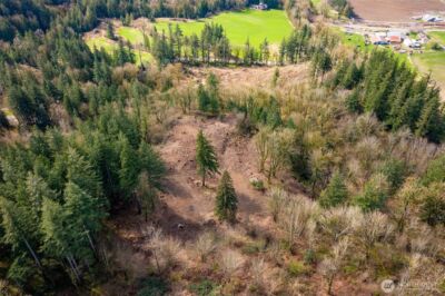 48 XX Reese Hill Road , Sumas, WA 98295 - Photo 10