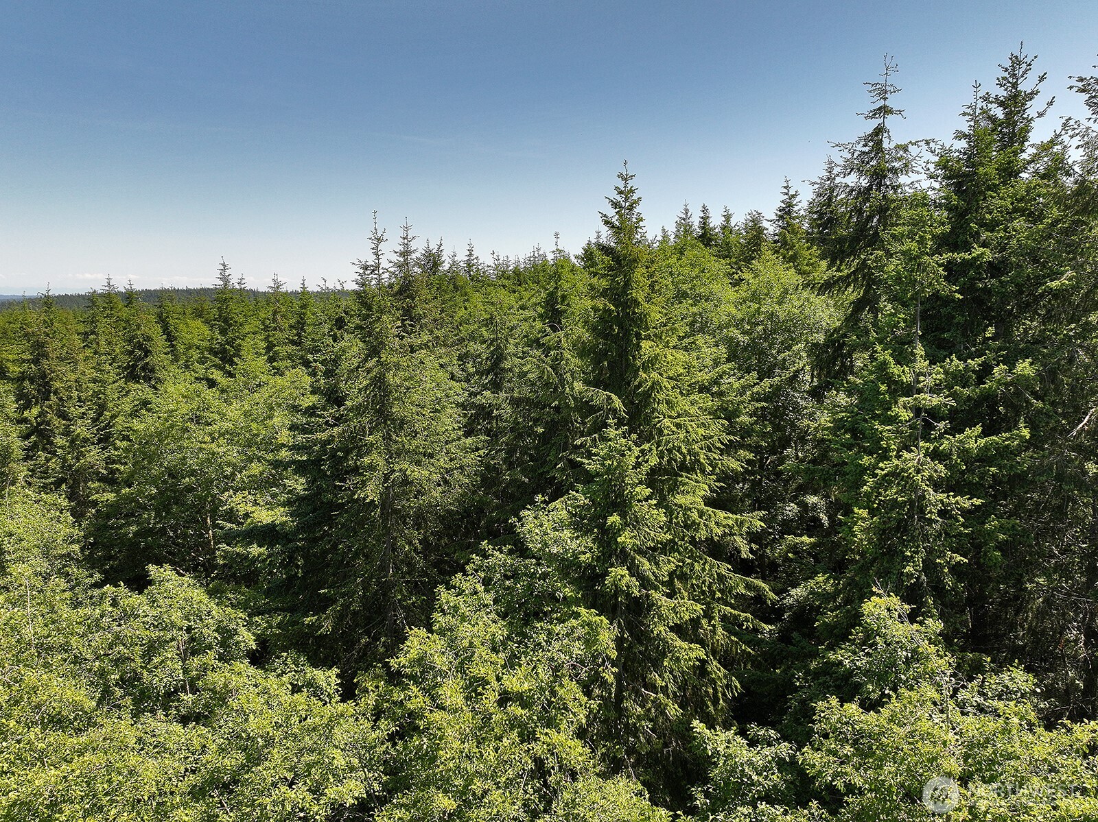 0 XXX Saratoga Ridge Road , Langley, WA 98260