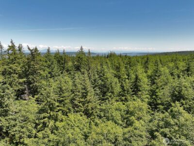 0 XXX Saratoga Ridge Road , Langley, WA 98260 - Photo 9