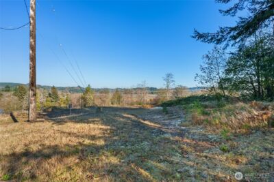 0 X Morris Street , Raymond, WA 98577 - Photo 6