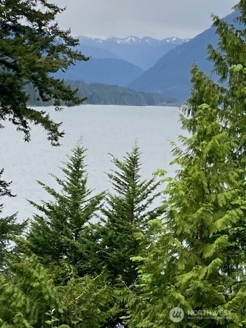 246 N Lakeshore Place , Hoodsport, WA 98548