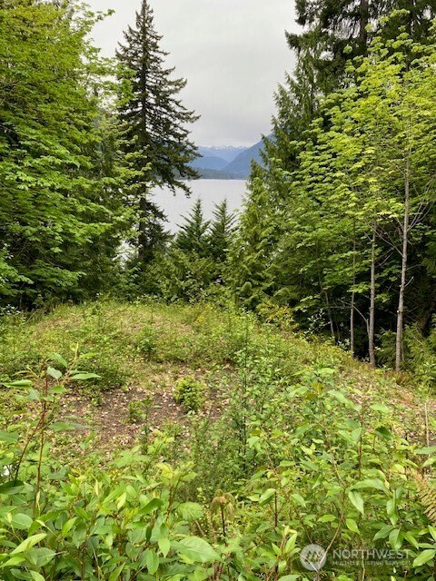 246 N Lakeshore Place , Hoodsport, WA 98548