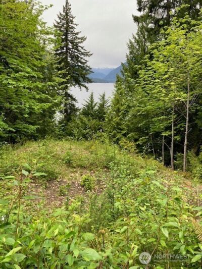 246 N Lakeshore Place , Hoodsport, WA 98548 - Photo 3