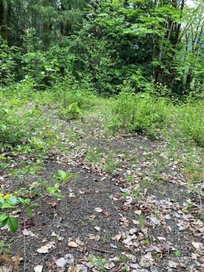 246 N Lakeshore Place , Hoodsport, WA 98548 - Photo 5